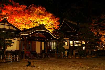 温泉寺周辺紅葉ライトアップ