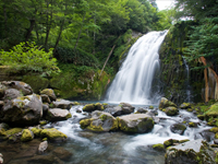�L���Ȏ��R�ɐS���̂����t���b�V���B