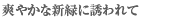 �u�₩�ȐV�΂ɗU����