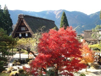 いでゆ朝市・下呂温泉合掌村