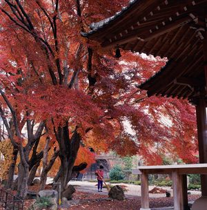 玉龍寺