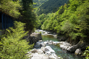 馬瀬川