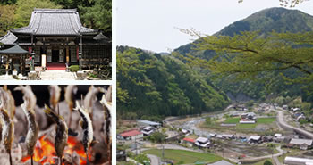「金山・馬瀬」エリア