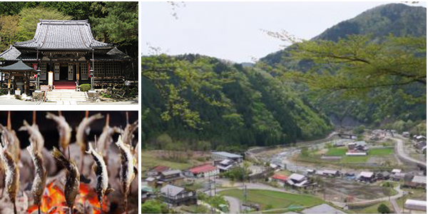 「金山・馬瀬」エリア