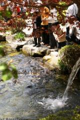 下呂温泉 合掌村15