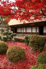 下呂温泉 合掌村26