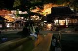 温泉寺(紅葉ライトアップ)2