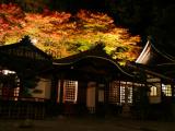温泉寺(紅葉ライトアップ)4