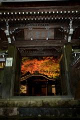 温泉寺(紅葉ライトアップ)6