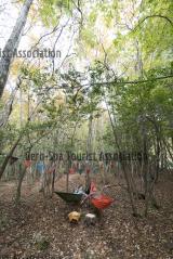 小坂の滝めぐり11