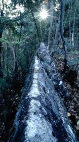 金山巨石群(岩屋岩陰遺跡)3