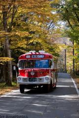 ボンネットバス