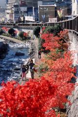 阿多野谷 せせらぎの小径