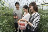 栃本農園フルーツトマト3